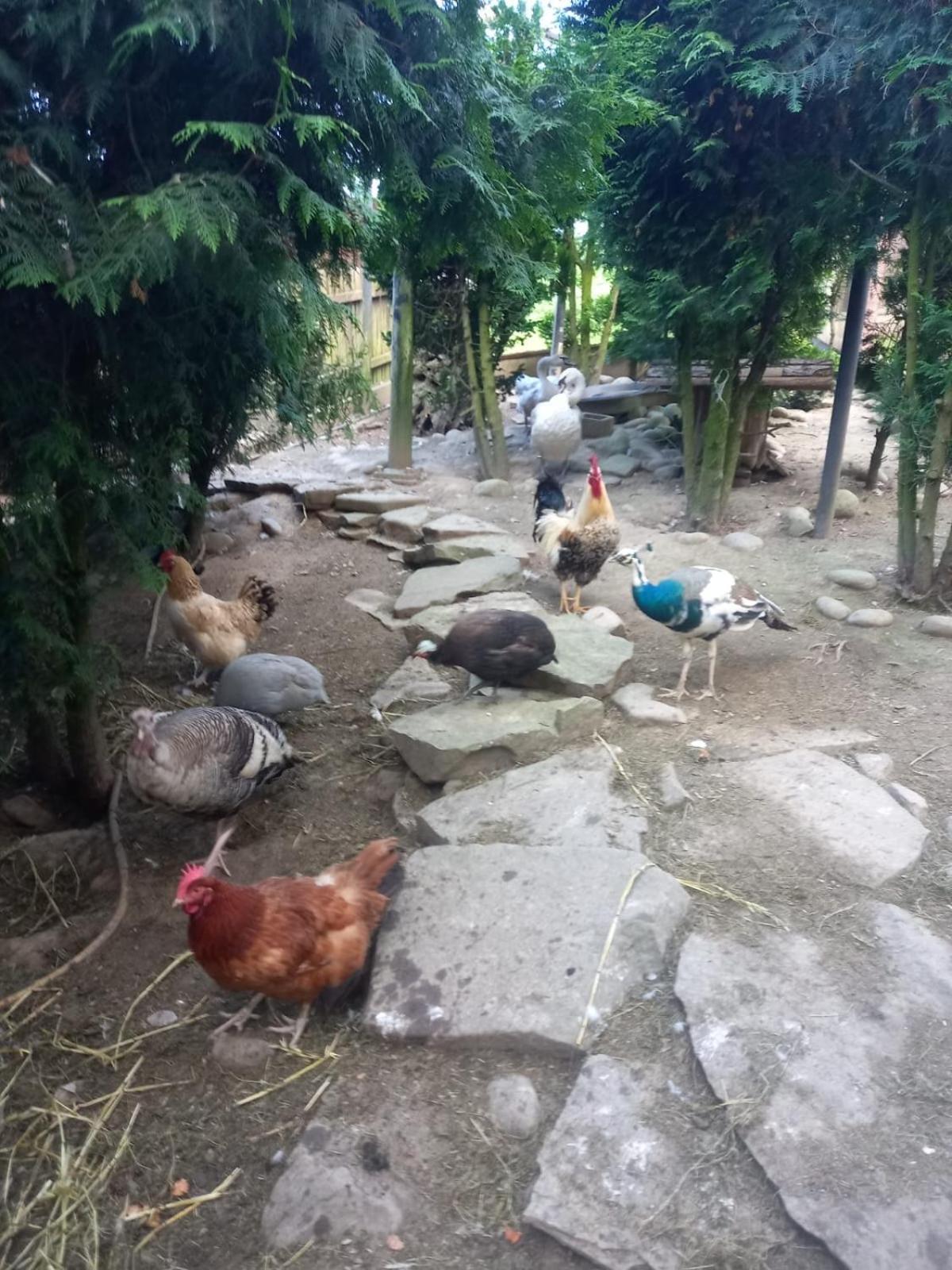 Koperkowe Rancho Beskid Wyspowy Domek Malopolskie Kamionna Kamionna  Dış mekan fotoğraf