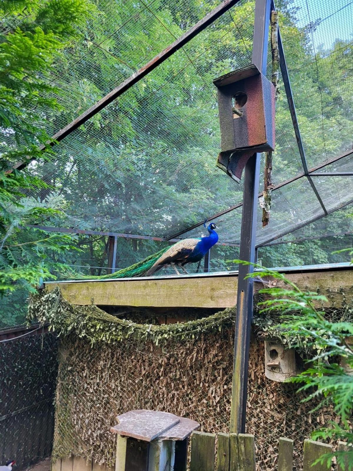 Koperkowe Rancho Beskid Wyspowy Domek Malopolskie Kamionna Kamionna  Dış mekan fotoğraf