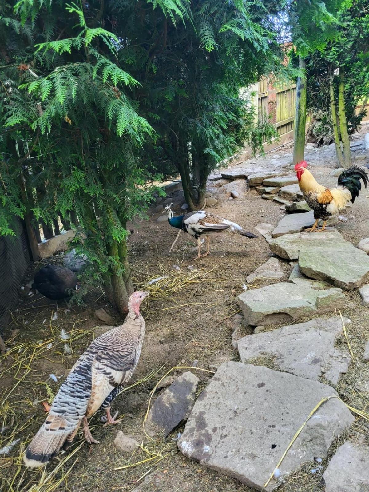 Koperkowe Rancho Beskid Wyspowy Domek Malopolskie Kamionna Kamionna  Dış mekan fotoğraf