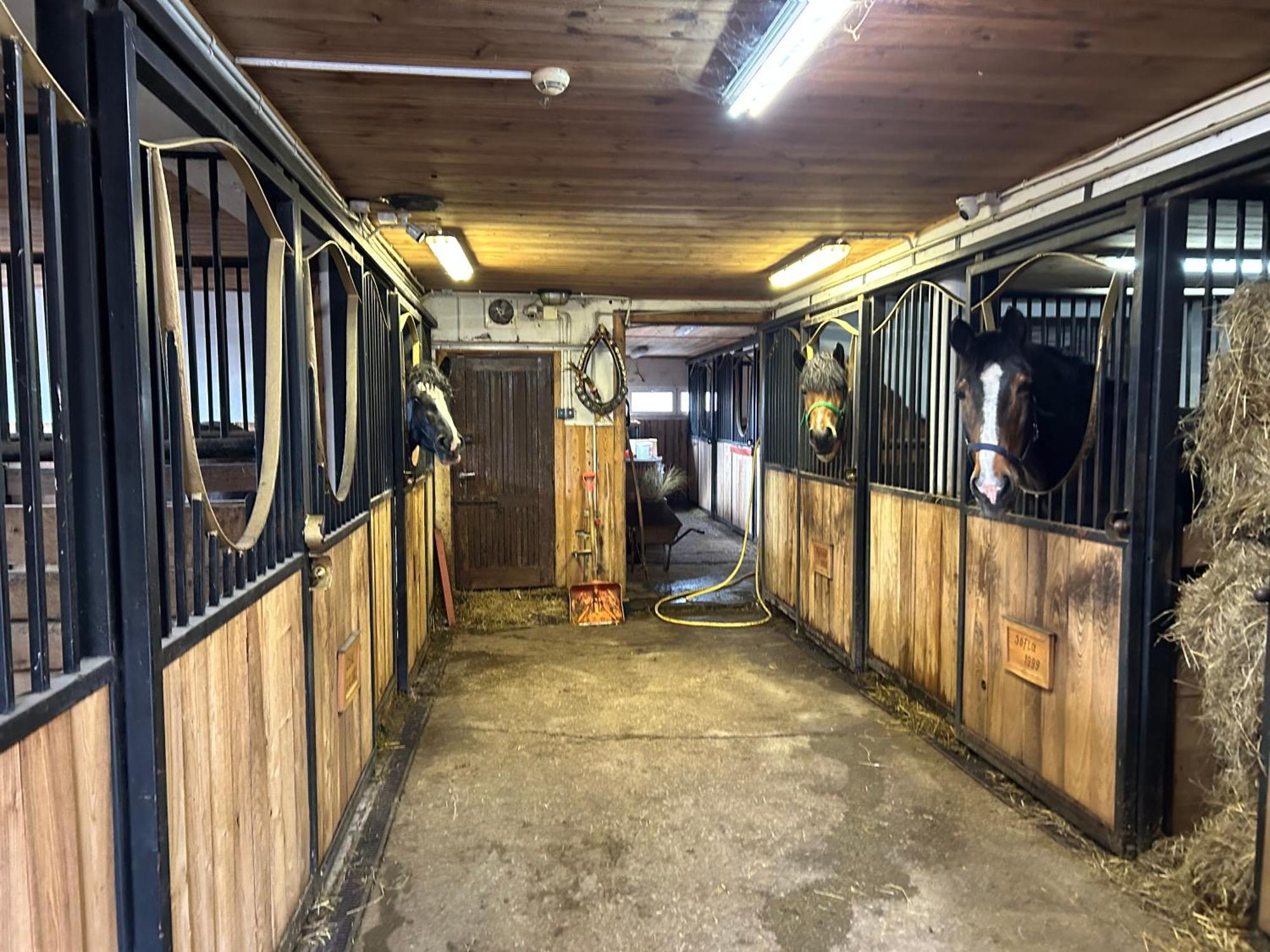 Koperkowe Rancho Beskid Wyspowy Domek Malopolskie Kamionna Kamionna  Dış mekan fotoğraf