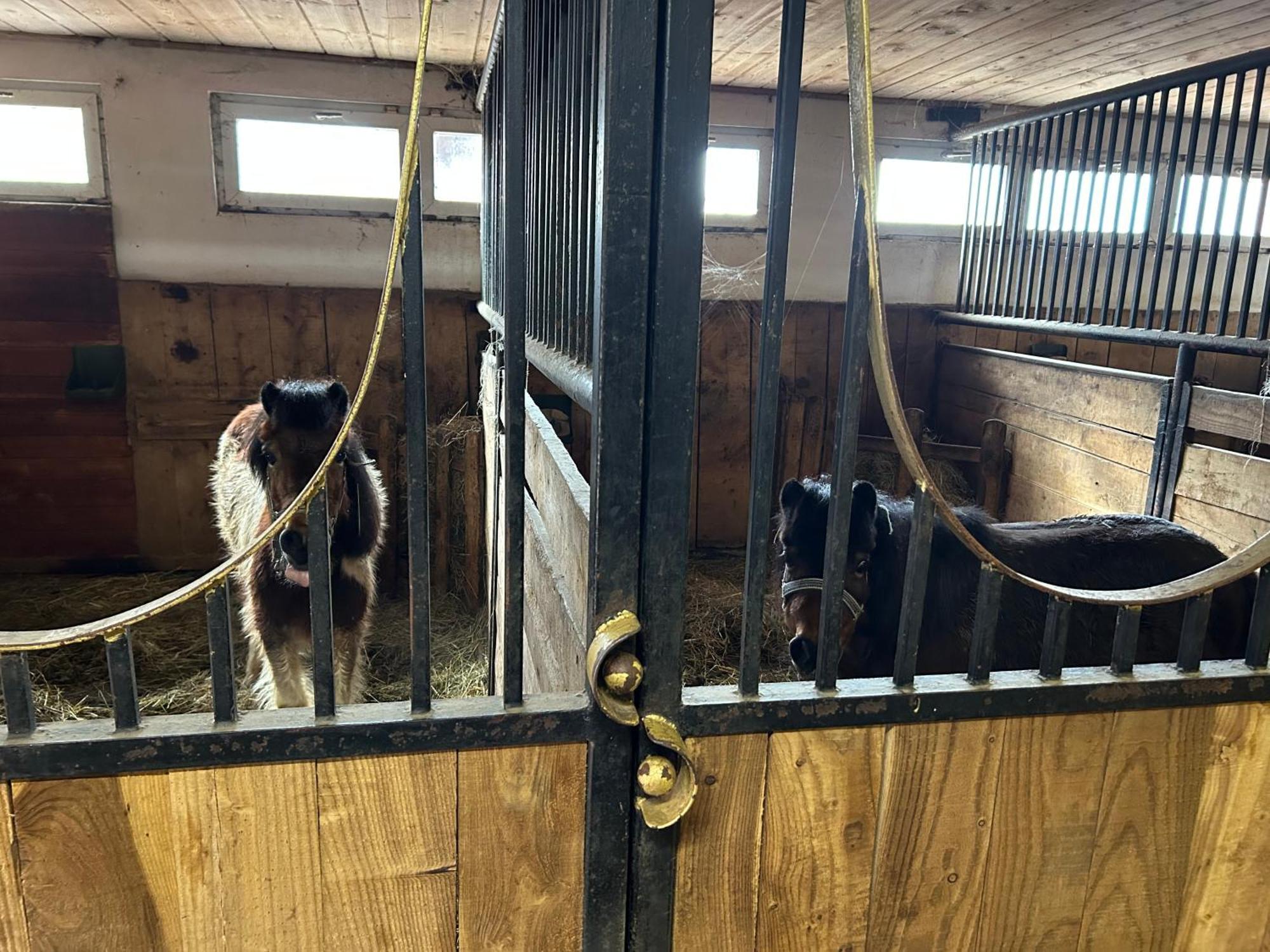 Koperkowe Rancho Beskid Wyspowy Domek Malopolskie Kamionna Kamionna  Dış mekan fotoğraf
